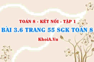 Bài 3.6 trang 55 SGK Toán 8 tập 1 Kết nối tri thức